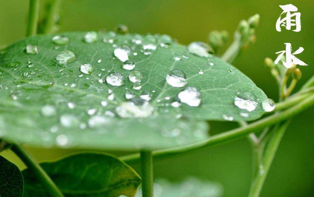 雨水潤萬物，兼顧沙與泥！